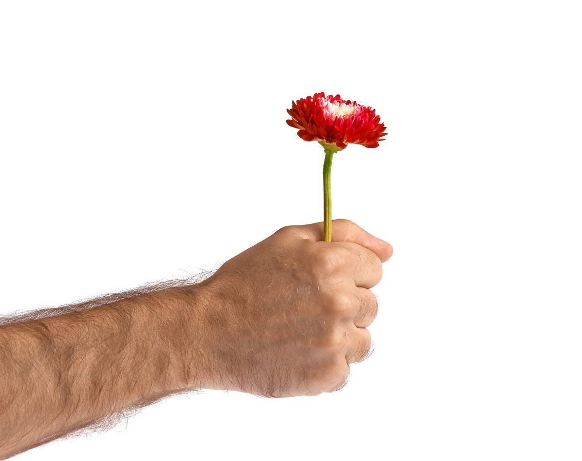 red-flower-in-man-hand-2022-11-17-16-14-05-utc-1200x951.jpg